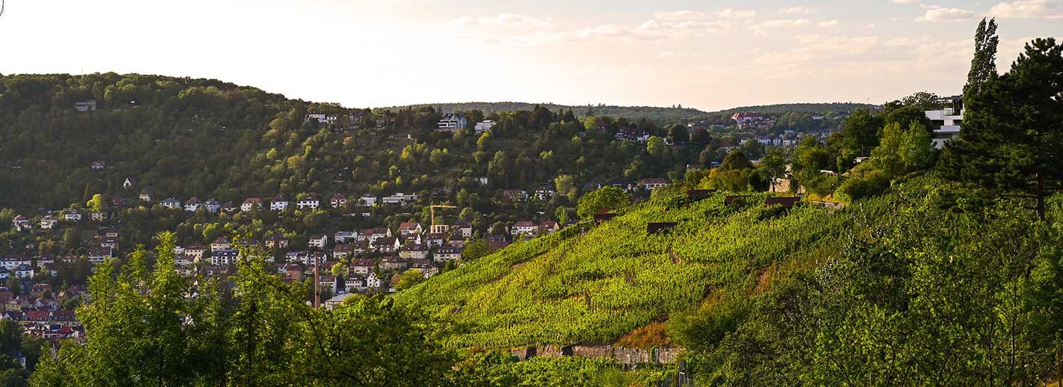 Grüne und dennoch zentrale Lage in den Weinbergen von Stuttgart Degerloch der calm Tagesklinik